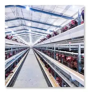 2024 Hot sale Factory outlet wire mesh automatic H Type chicken cage For 20000 Birds animal cages layer