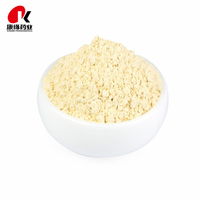 Extrait de Ginseng Panax Pur Standardisé de Qualité Supérieure en Poudre – Complément Énergétique – Vente en Gros – Fabricant de Compléments à Marque Blanche