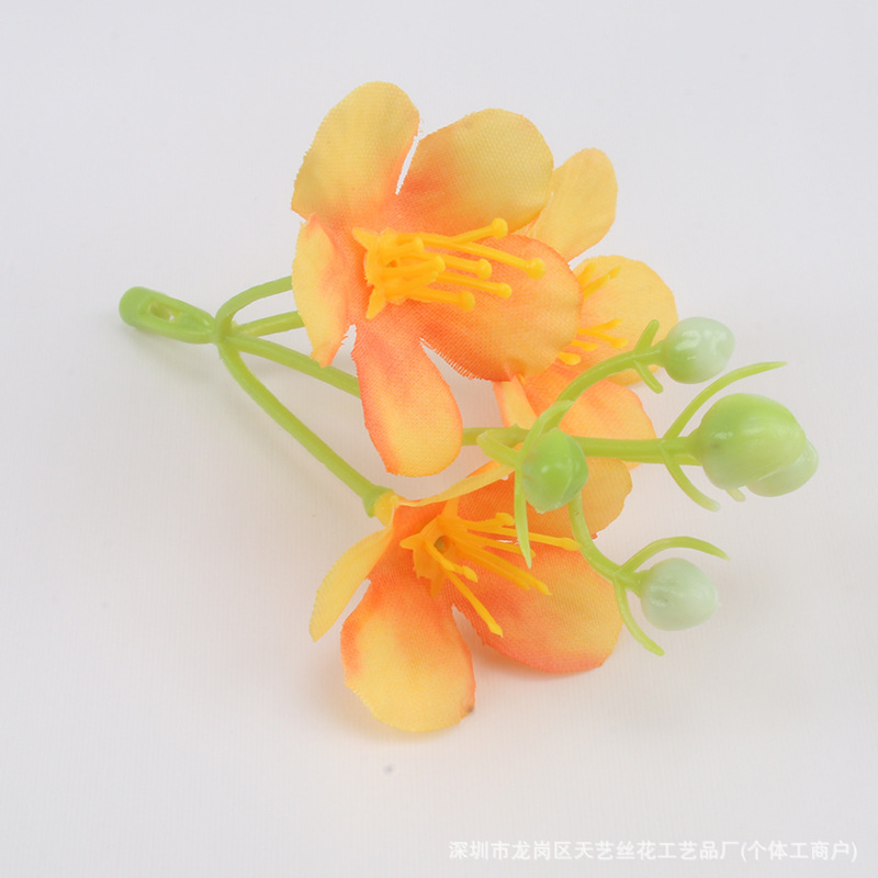 couleur orange