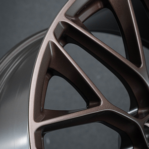 Estructura de Rueda Forjada de Alta Calidad de 17-21 Pulgadas, Totalmente en Bronce Mate u Otros Colores Personalizados - Product Image 6