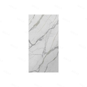 Motif <span class=keywords><strong>TRAVERTIN</strong></span> BLANC 1600*3200*20mm Pierre frittée Look authentique pour Home <span class=keywords><strong>Deco</strong></span> - Product Image 5