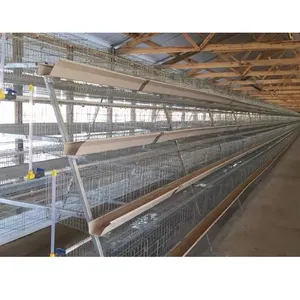 House Poultry Chicken Cages Egg Collection System 3 Tier 120 Capacity Chicken Layer Cage for Poultry