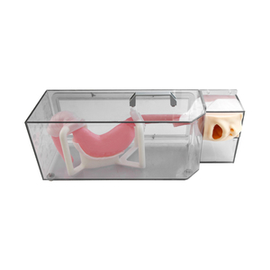 Modelo de Entrenamiento para Gastroscopia B ES001-S2: Epigloto, Tráquea, Esófago, <span class=keywords><strong>Cardia</strong></span>, Píloro, Duodeno, Polipo, Úlcera, Lesiones, Endoscopia - Product Image 2