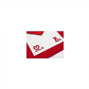 Delantal Masónico Provincial Star International Bordado a Máquina, Hecho a Mano, de Terciopelo Rojo y Blanco, Bordado en Lana, Personalizado M.B. - Product Image 3