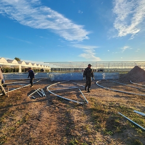 Prix d'usine Arc gothique Multi Span <span class=keywords><strong>Serre</strong></span> en polycarbonate avec système de refroidissement Jardin utilisé pour la vente - Product Image 6