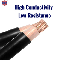 Cable de Cobre Aislado XLPE/PVC de 0.6/1KV, Conductor Sólido de Cobre Puro de 1*185mm2, Venta al por Mayor, para Estación de Energía