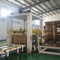 Industriële Ingeblikt Fruit Papaja Ananas Verwerkingsmachine Papaja Sap Productielijn