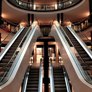 Productor líder en China de SSEC: Elevadores <span class=keywords><strong>y</strong></span> <span class=keywords><strong>escaleras</strong></span> mecánicas comerciales <span class=keywords><strong>y</strong></span> domésticos de gran demanda - Product Image 1