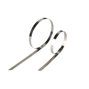 Ss304 مقاوم للحرارة العالية * من الفولاذ المقاوم للصدأ حزام ربط الكابل ذاتي القفل - Product Image 4