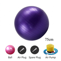 Umweltfreundlicher Ungiftiger 75cm Lila Yoga-Ball für Hautfreundliche Wellness-Übungen Phthalatfrei Verdicktes PVC Gesundes Trainingsgerät