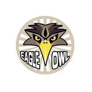 Avion à réaction télécommandé Wi-Fi 2,4 G V17, modèle d'avion de chasse, planeur en mousse EPP, composants métalliques, RC Stunt, batteries - Product Image 4