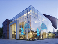 Écran mural vidéo holographique LED 3D transparent P8 avec SDK pour le shopping, la signalisation et l'éducation - Panneau flexible à grande échelle
