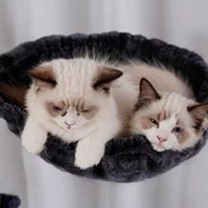 Luxury Indoor <b>Cat</b> Tree with Multi-Level Wood Tower 2 Widened Plush <b>Perches</b> & Halloween <b>Cat</b> Condo Scratching Board Modern Style - Product Image 5