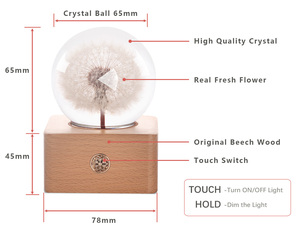 Luxury Premium Customized Personalized Logo Design Real Natural Flower LED Night Light Globe Promotion <strong>Gifts</strong> <strong>Items</strong> - Product Image 5