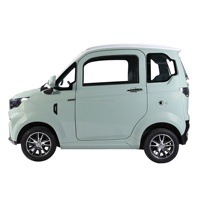 Conception incroyable L6E homologuée EEC, mini berline électrique à propulsion arrière unique de 3 kW, 2 places, boîte de vitesses automatique à 4 roues, cuir, autonomie de 45 km