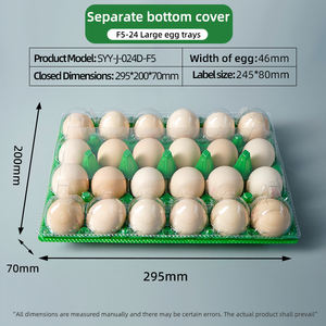 En Çok Satan 24 Bölmeli, İstiflenebilir, Dayanıklı Renkli Plastik Yumurta Kutuları Plastik Yumurta Tepsisi - Product Image 3
