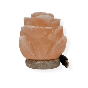 Nueva llegada elegante lámpara de sal de cristal rosa del Himalaya bellamente tallada diseño exquisitas artesanías naturales - Product Image 2