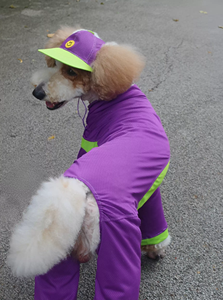 Combinaison en maille à quatre pattes pour chien, rafraîchissante et anti-poussière, pour l'extérieur, pour Golden Retriever, Samoyed, Malamute, Caniche géant, Violet - Product Image 2