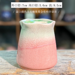 กระถางต้นไม้เซรามิกเนื้อหยาบ ระบายอากาศได้ดี มีหลายขนาด สีไล่ระดับสดใส สำหรับปลูกไม้อีโอเนียม - Product Image 5