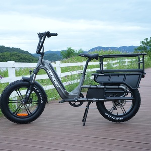 Zerogo 2025 C1 Vélo Électrique Cargo Familial Urbain Femme Meilleure Vente Entrepôt UE E7 Moteur Moyeu Arrière - Product Image 1