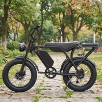 Vélo électrique Wins T8 avec pneus larges 20*4.0, freins à disque, double moteur, 250W 750W