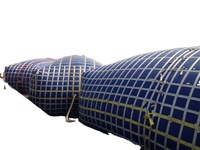 Réservoir d'eau gonflable modulaire en PVC TPU pliable de 5000 et 10000 litres, conception plastique pour les machines de traitement de l'eau