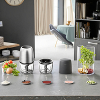Mini hachoir 100% alimentaire 200W, robot culinaire électrique portable pour bébé, hachage de viande, haute efficacité, ménage, 300ml en verre