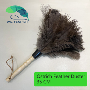 Fournitures de nettoyage lavables à prix d'usine, <span class=keywords><strong>Mini</strong></span> <span class=keywords><strong>plumeau</strong></span> en plumes d'autruche de 14 pouces pour clavier de voiture et de bureau, vente en gros - Product Image 2