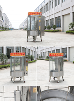 Four à rôtir vertical rotatif électrique commercial d'usine chinoise, four à rôtir rond au gaz et au charbon de bois pour la viande