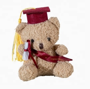 Ours en peluche Docteur Licencié pour la remise des diplômes - Product Image 1