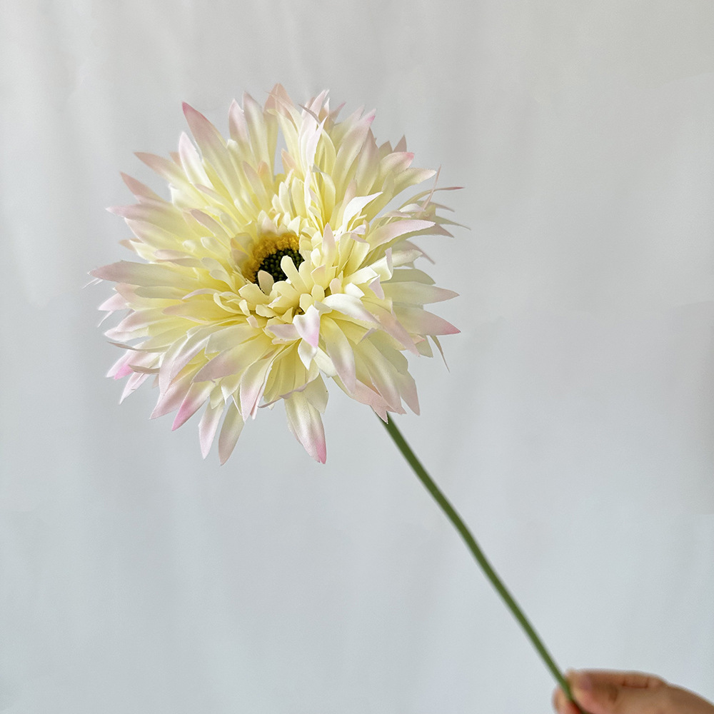 Borde rosa