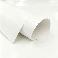 Película de Transferencia de Calor Reflectante de Color Blanco para Logotipos Cortados con Plotter, Rollo de Vinilo Blanco Reflectante para Transferencia de Calor