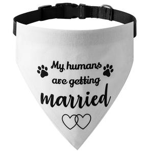 Tanpopo Engagement <span class=keywords><strong>Best</strong></span> Dog <span class=keywords><strong>Collar</strong></span> Bandana Ajustable Gato Hebilla de liberación rápida Tamaños pequeños a grandes <span class=keywords><strong>Collar</strong></span> para mascotas - Product Image 3