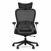 Chaise de bureau ergonomique à dossier haut en maille, avec soutien lombaire réglable, respirante, avec appui-tête, base 5 étoiles, vert foncé