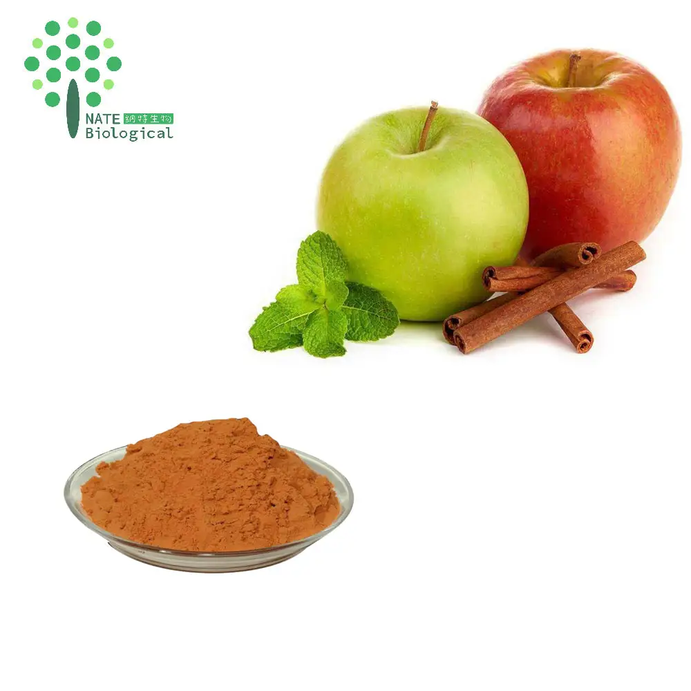 Antioxidans produkt Apfel polyphenole Apfel extrakt