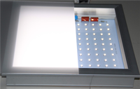 Feuilles de diffuseur LED laiteux personnalisées PP PS feuille de diffuseur de lumière pour panneau d'éclairage