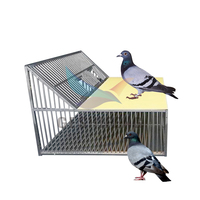 Cage en métal pliable de haute qualité pour oiseaux sautant perroquets Pigeons acier inoxydable transportant cage à oiseaux pliante