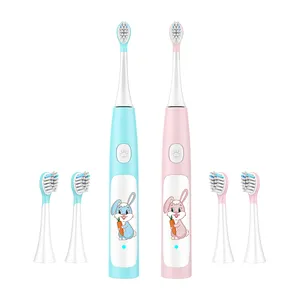 Electric Toothbrush Factory Baolijie Electric Toothbrush New Electric Rechargeable Automatic Sonic Toothbrush Electric Toothbrush For Teeth Whitening