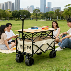 Hot Sale Beach <strong>Trolley</strong> Sturdy Cargo <strong>Trolley</strong> for Waterproof Outdoor Beach and Seaside Cargo Transport - Product Image 1