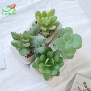 Thiết lập của 4 mini các loại màu xanh lá cây nhựa mọng nước cây trong vuông trắng gốm trồng - Product Image 4