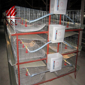 <strong>Cheap</strong> <strong>Price</strong> 96/120/128/160 Birds Hot Dipped Galvanized Layer Chicken <strong>Cage</strong> for Sale - Product Image 3