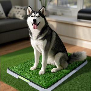 Alfombra de entrenamiento lavable de plástico con bandeja para cachorros, alfombra sanitaria grande para perros, para uso en interiores - Product Image 1