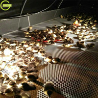 Filets d'élevage d'escargots hexagonaux durables pour animaux de compagnie