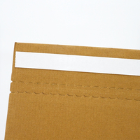 Caja de Cartón Corrugado de Alta Calidad y Duradera con Tira Adhesiva, Impresa Personalizada, para Envío