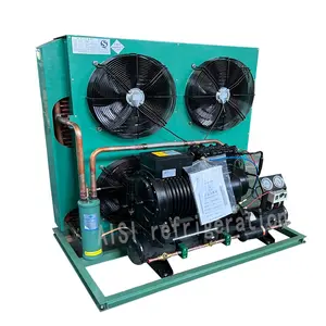 15hp Cold Room Condenser Freezer Refrigeration Condensing Unit Air Cooled Copeland Compressor Condenser Unit For Freezer