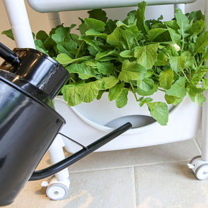 Plafarm JWPL0001 Pot de fleurs auto-arrosant en polypropylène coréen avec réservoir d'arrosage automatique au fond, design moderne et minimaliste pour intérieur - Product Image 2