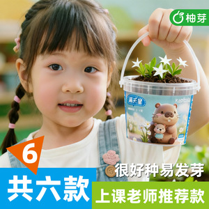 Creative Plant Blind Box Mini <b>Potted</b> Plants For Children Student Rewards Desktop Flower Growing Kit - Product Image 4