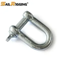 D Shackle Galvanized European Carbon Steel Forged D Shackle