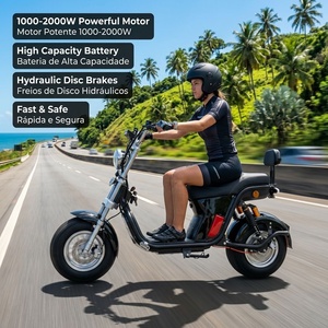 Moto électrique Citycoco 2000W sur mesure pour le marché brésilien, batterie lithium LiFePO4, scooter électrique haute vitesse avec clé à distance - Product Image 3
