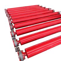 Rouleau de transport par gravité anti-corrosion pour entrepôt léger, articulation sans fin personnalisée pour atelier de manutention de cendres
